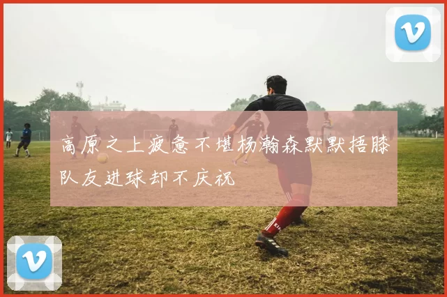 高原之上疲惫不堪杨瀚森默默捂膝队友进球却不庆祝